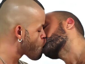 Gay Porn Hairy Sex - Unearth the Best Gay Hairy Muscle Porn at xecce.com