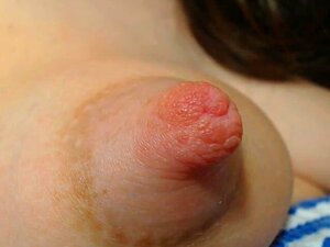Grosse Titons
